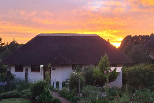 Feb 2026 - Otters Den (1)