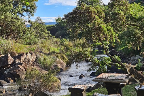 Feb 2026 - Otters Den (14)