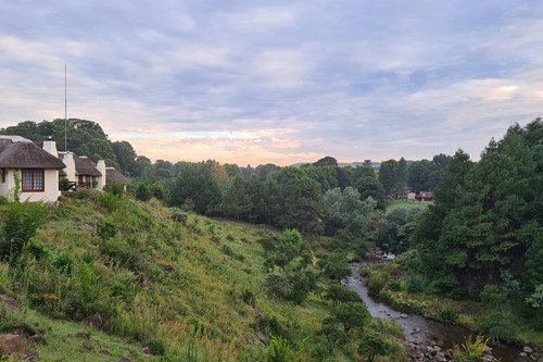 Feb 2026 - Otters Den (20)