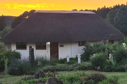 Feb 2026 - Otters Den (3)