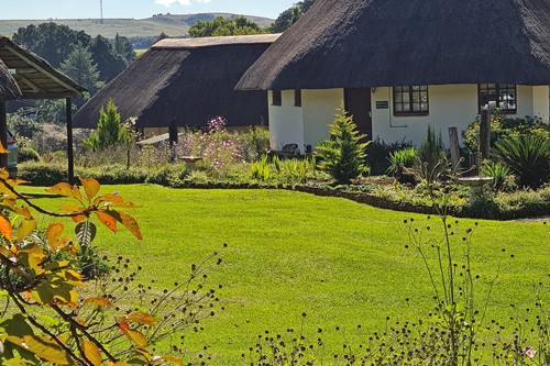 Feb 2026 - Otters Den (8)