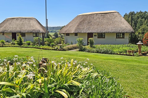 Feb 2026 - Otters Den (9)