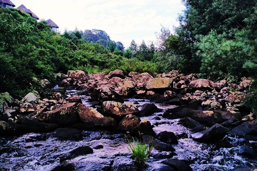 Otters Den Extra (10)