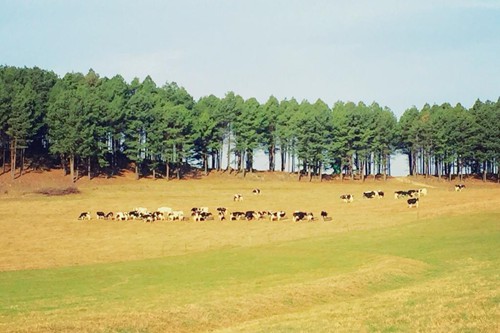 Otters Den Extra (12)