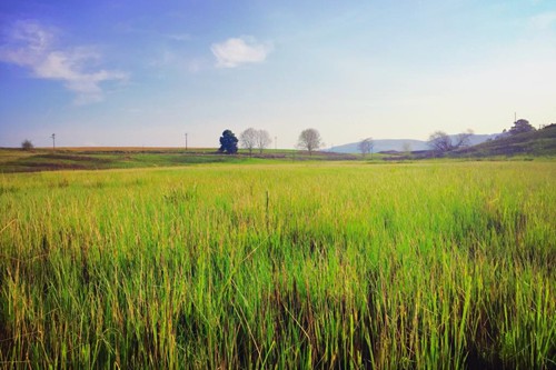 Otters Den Extra (13)