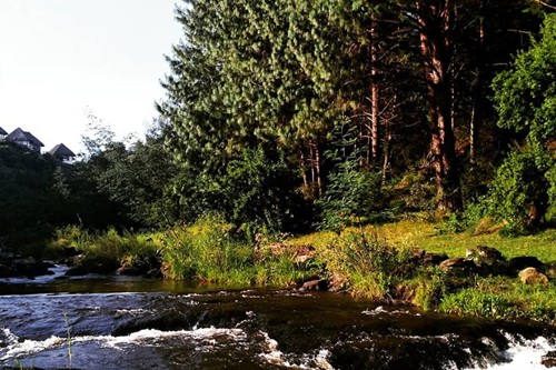 Otters Den Extra (4)