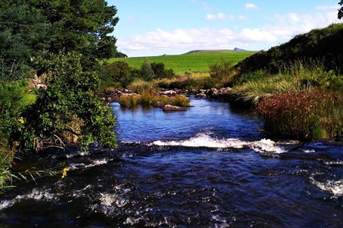 Otters Den Extra (5)